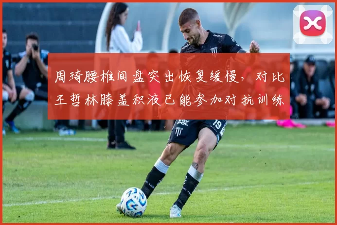 周琦腰椎间盘突出恢复缓慢，对比王哲林膝盖积液已能参加对抗训练