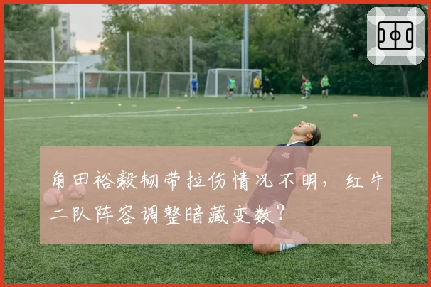 角田裕毅韧带拉伤情况不明，红牛二队阵容调整暗藏变数？