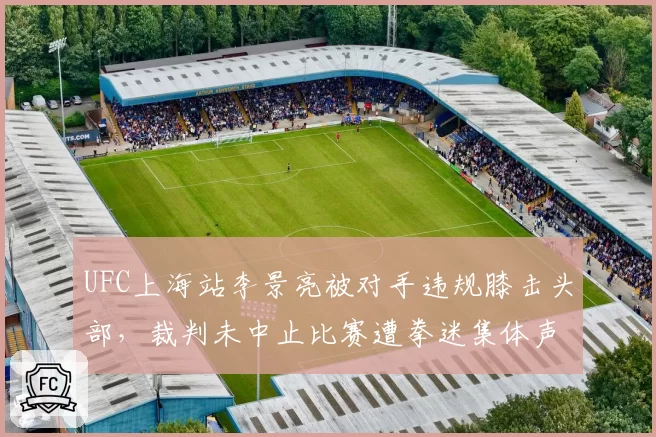 UFC上海站李景亮被对手违规膝击头部,裁判未中止比赛遭拳迷集体声讨